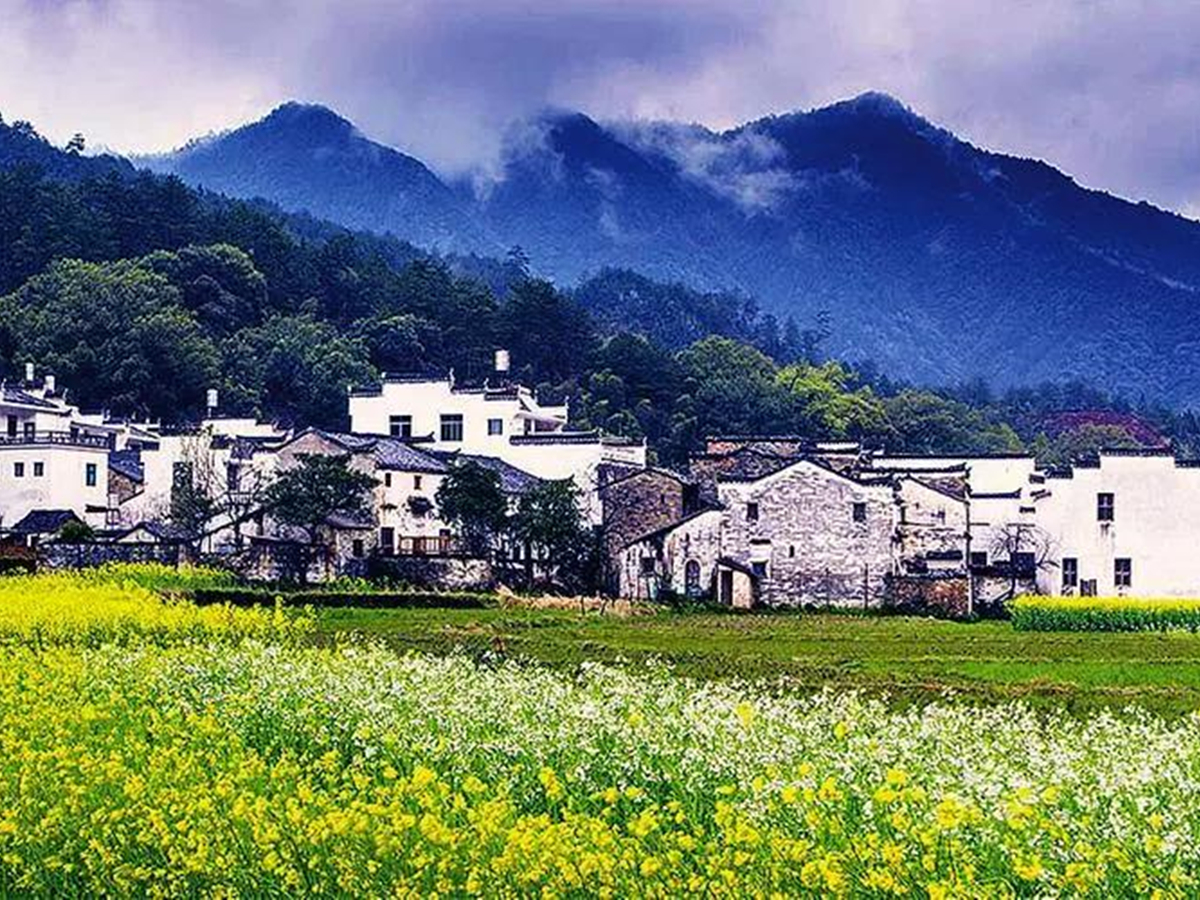 人民日?qǐng)?bào) | 18個(gè)省委書(shū)記談鄉(xiāng)村振興